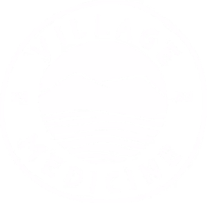 vm-logo__light-body@2x-001